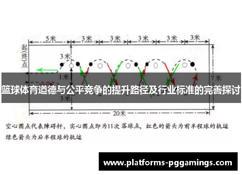 篮球体育道德与公平竞争的提升路径及行业标准的完善探讨