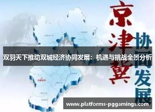 双羽天下推动双城经济协同发展：机遇与挑战全景分析