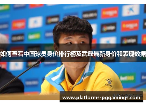 如何查看中国球员身价排行榜及武磊最新身价和表现数据