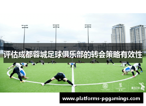 评估成都蓉城足球俱乐部的转会策略有效性