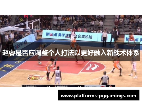 赵睿是否应调整个人打法以更好融入新战术体系