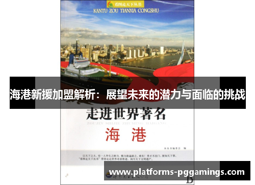 海港新援加盟解析：展望未来的潜力与面临的挑战