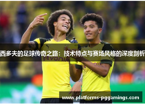 西多夫的足球传奇之路：技术特点与赛场风格的深度剖析