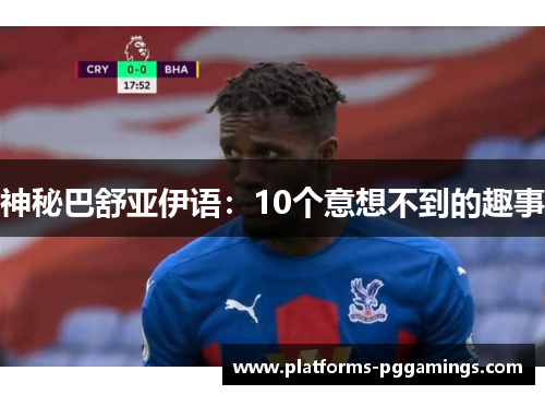 神秘巴舒亚伊语：10个意想不到的趣事