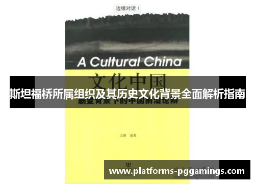 斯坦福桥所属组织及其历史文化背景全面解析指南