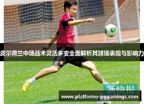 皮尔荷兰中场战术灵活多变全面解析其球场表现与影响力