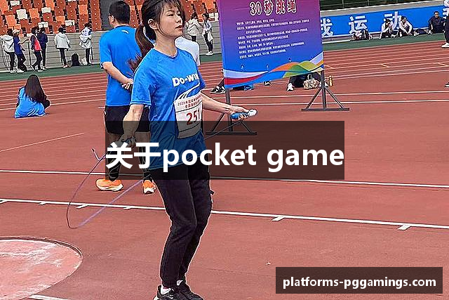 关于pocket game